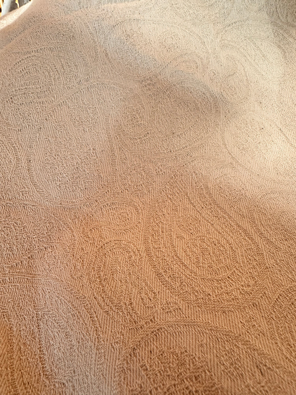 Jean Paisley